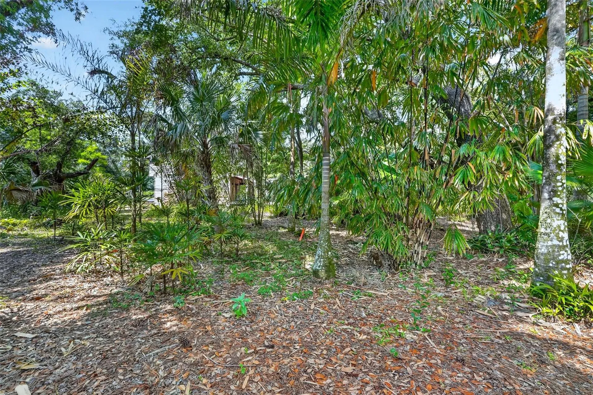 16409 Winburn Place Sarasota FL 34240