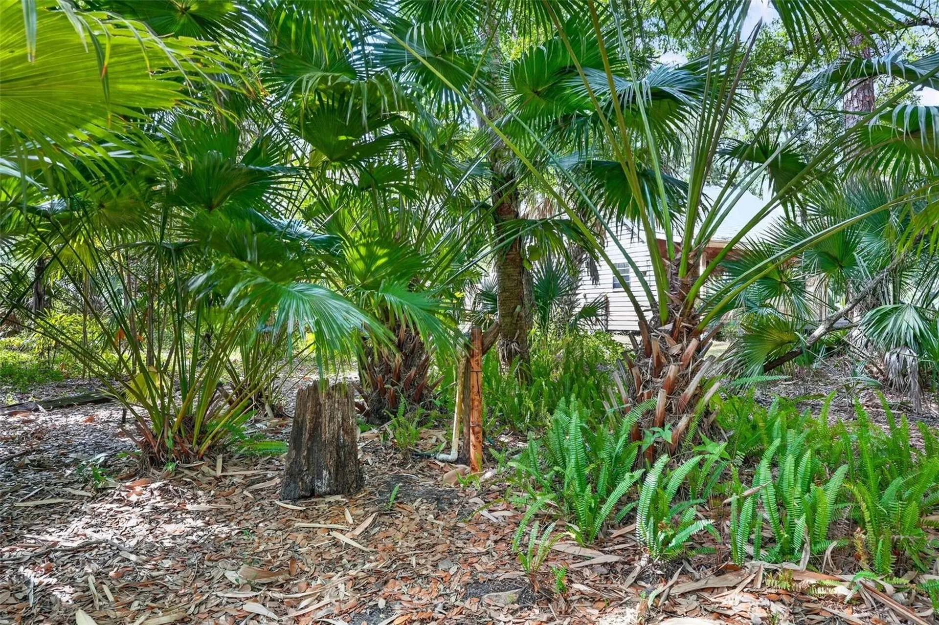 16409 Winburn Place Sarasota FL 34240