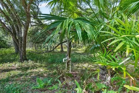16409 Winburn Place Sarasota FL 34240