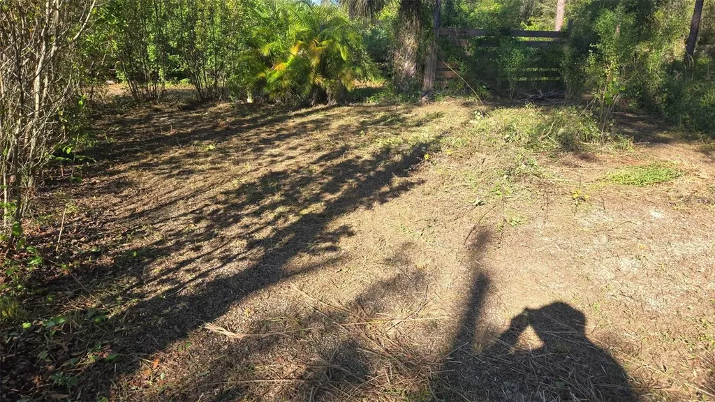 1231 Ramus Street E Lehigh Acres FL 33974