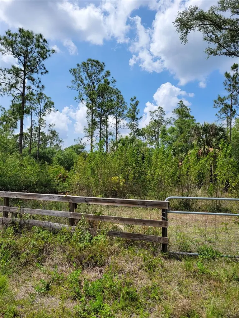 1231 Ramus Street E Lehigh Acres FL 33974