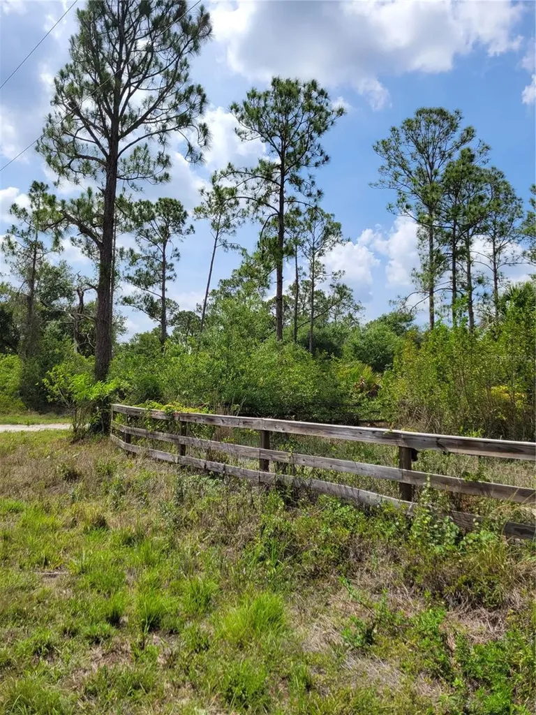 1231 Ramus Street E Lehigh Acres FL 33974