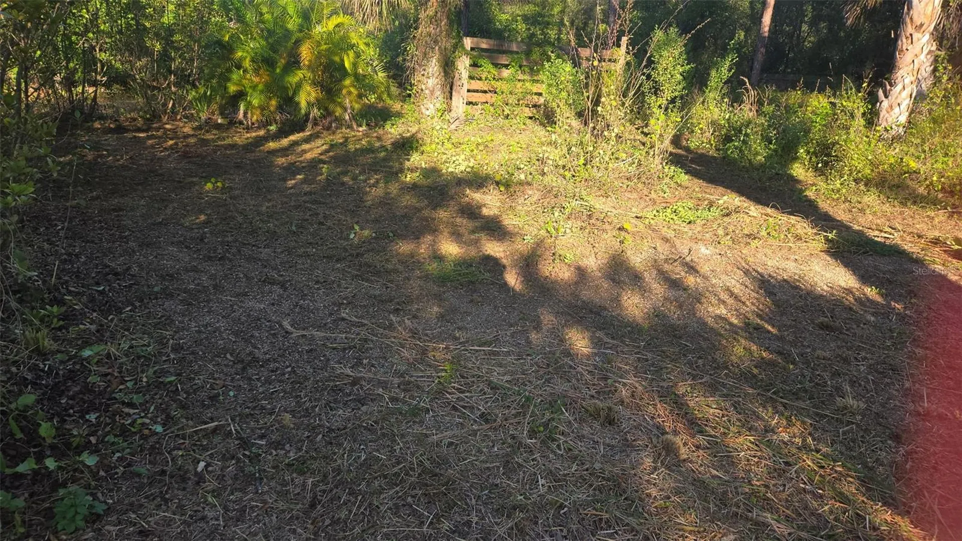 1231 Ramus Street E Lehigh Acres FL 33974