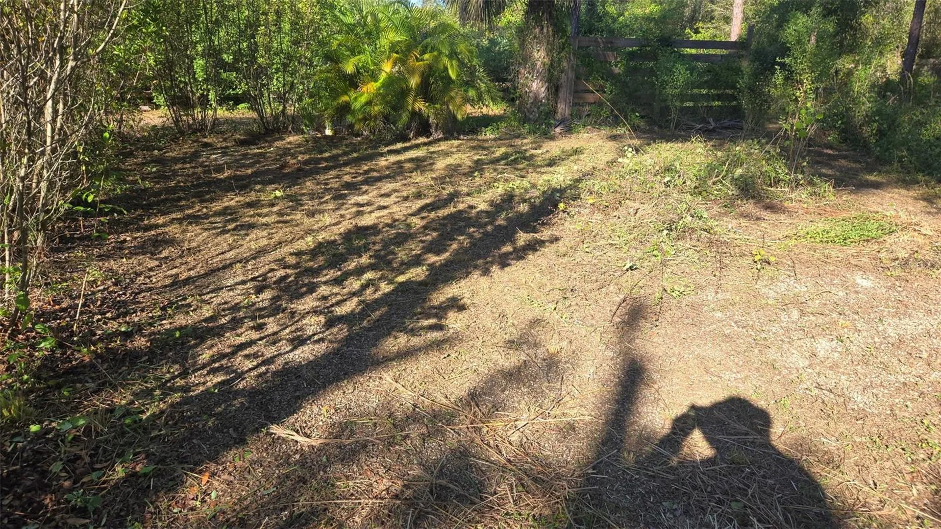 1231 Ramus Street E Lehigh Acres FL 33974