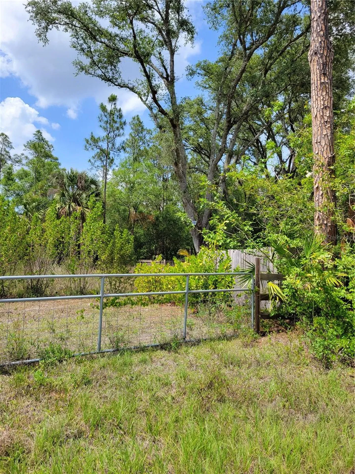 1231 Ramus Street E Lehigh Acres FL 33974