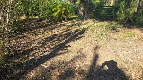 1231 Ramus Street E Lehigh Acres FL 33974