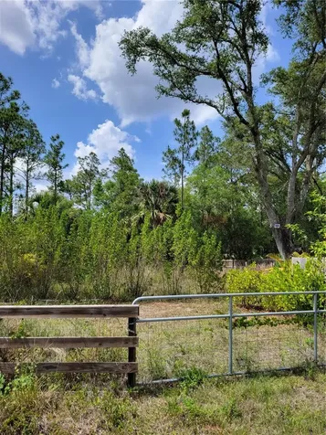 1231 Ramus Street E Lehigh Acres FL 33974