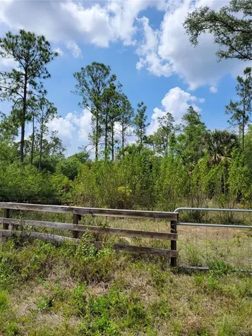 1231 Ramus Street E Lehigh Acres FL 33974