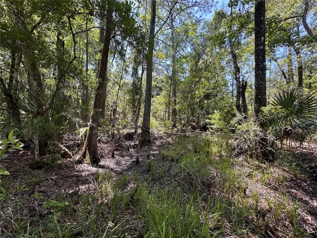 Tract 102 SW Cr-347 Chiefland FL 32644
