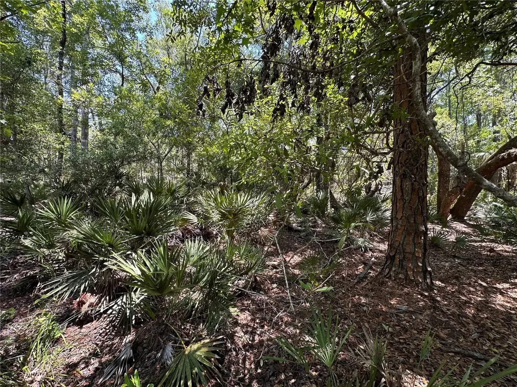 Tract 102 SW Cr-347 Chiefland FL 32644