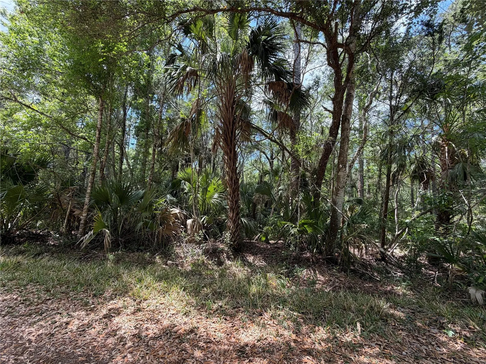 Tract 102 SW Cr-347 Chiefland FL 32644
