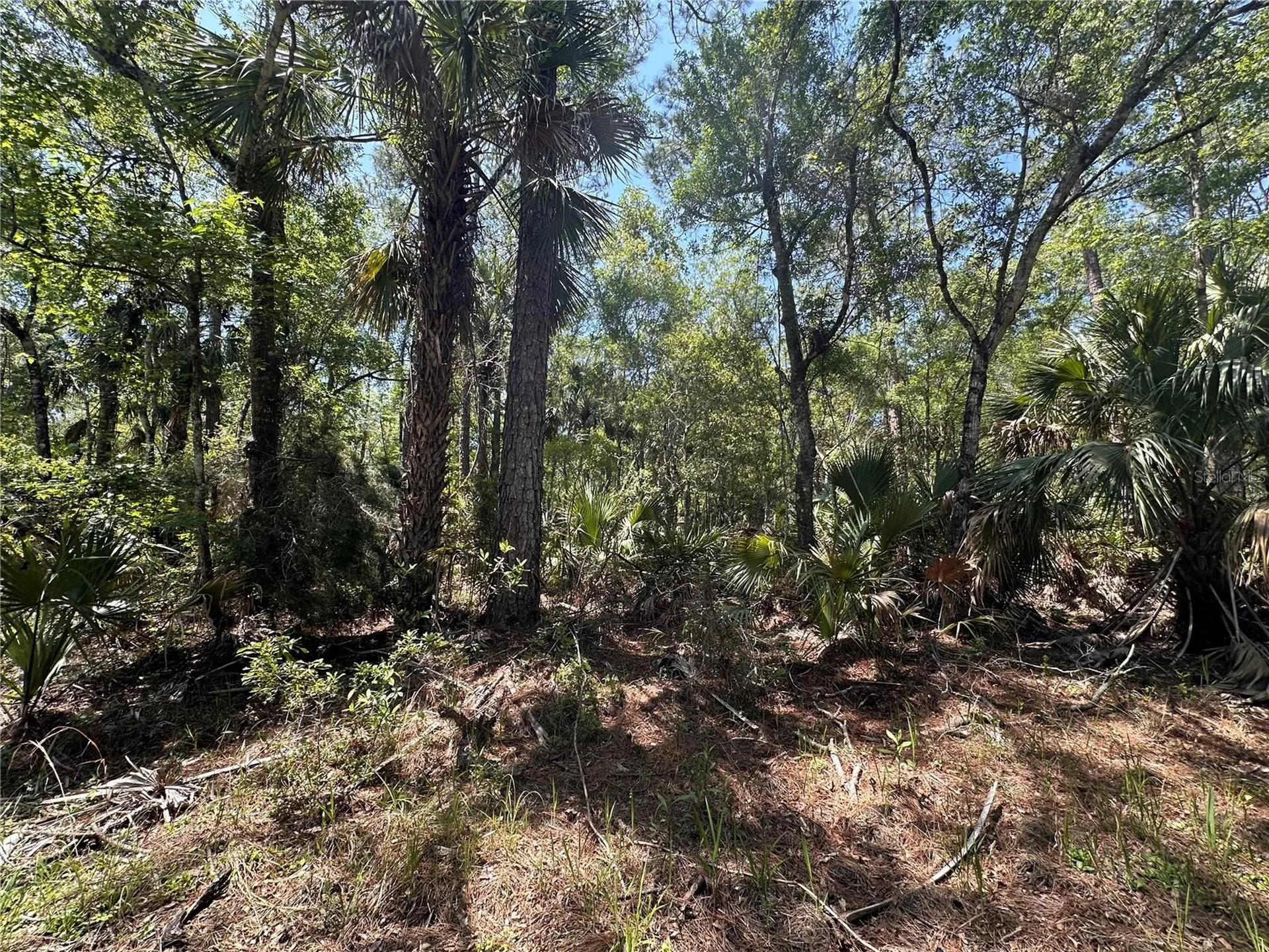 Tract 102 SW Cr-347 Chiefland FL 32644