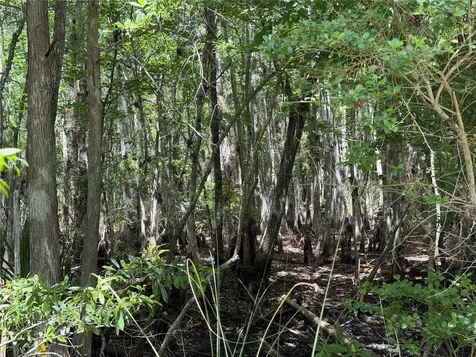 Tract 102 SW Cr-347 Chiefland FL 32644