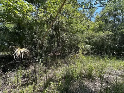 Tract 102 SW Cr-347 Chiefland FL 32644