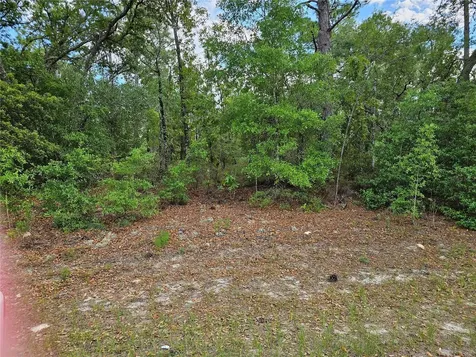 1681 W Skyline Drive Dunnellon FL 34434
