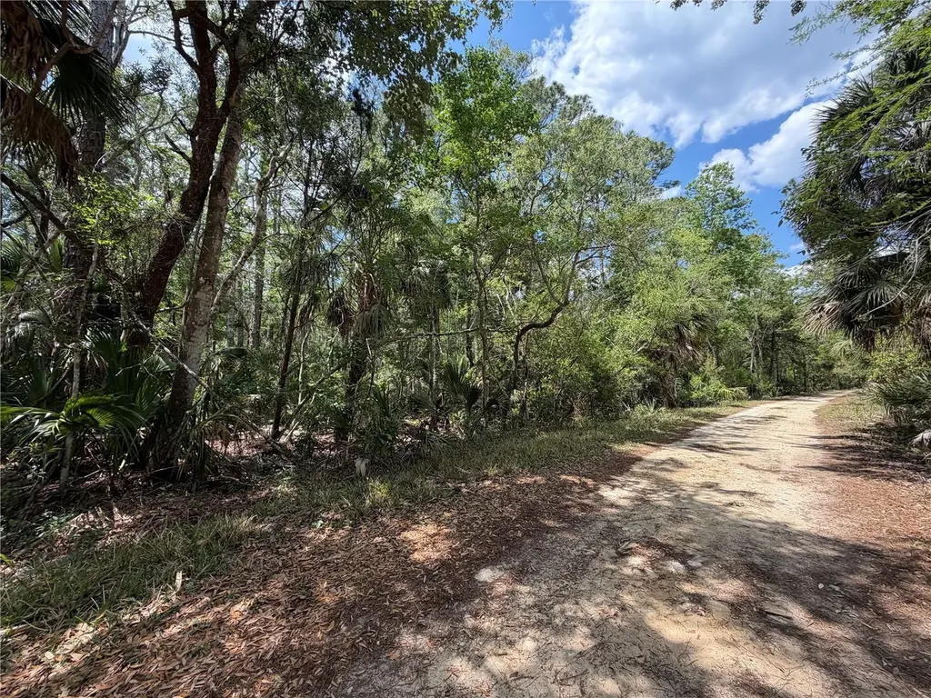 Tract 100 SW Cr-347 Chiefland FL 32644