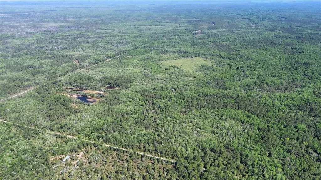 Tract 100 SW Cr-347 Chiefland FL 32644