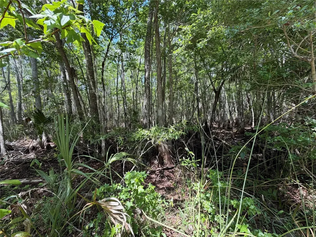Tract 100 SW Cr-347 Chiefland FL 32644