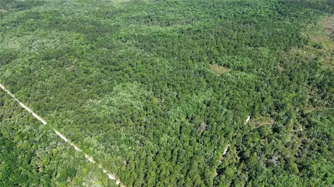 Tract 100 SW Cr-347 Chiefland FL 32644