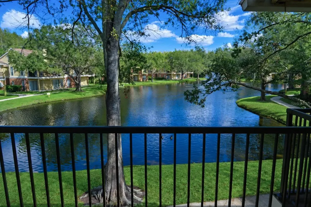 8641 Fancy Finch Drive Tampa FL 33614