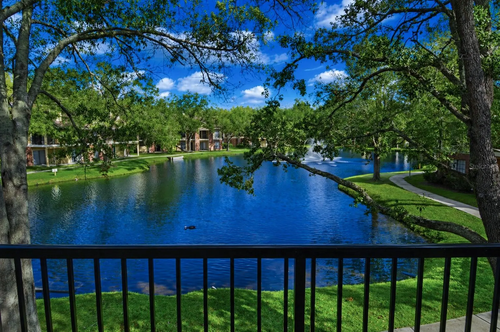 8641 Fancy Finch Drive Tampa FL 33614