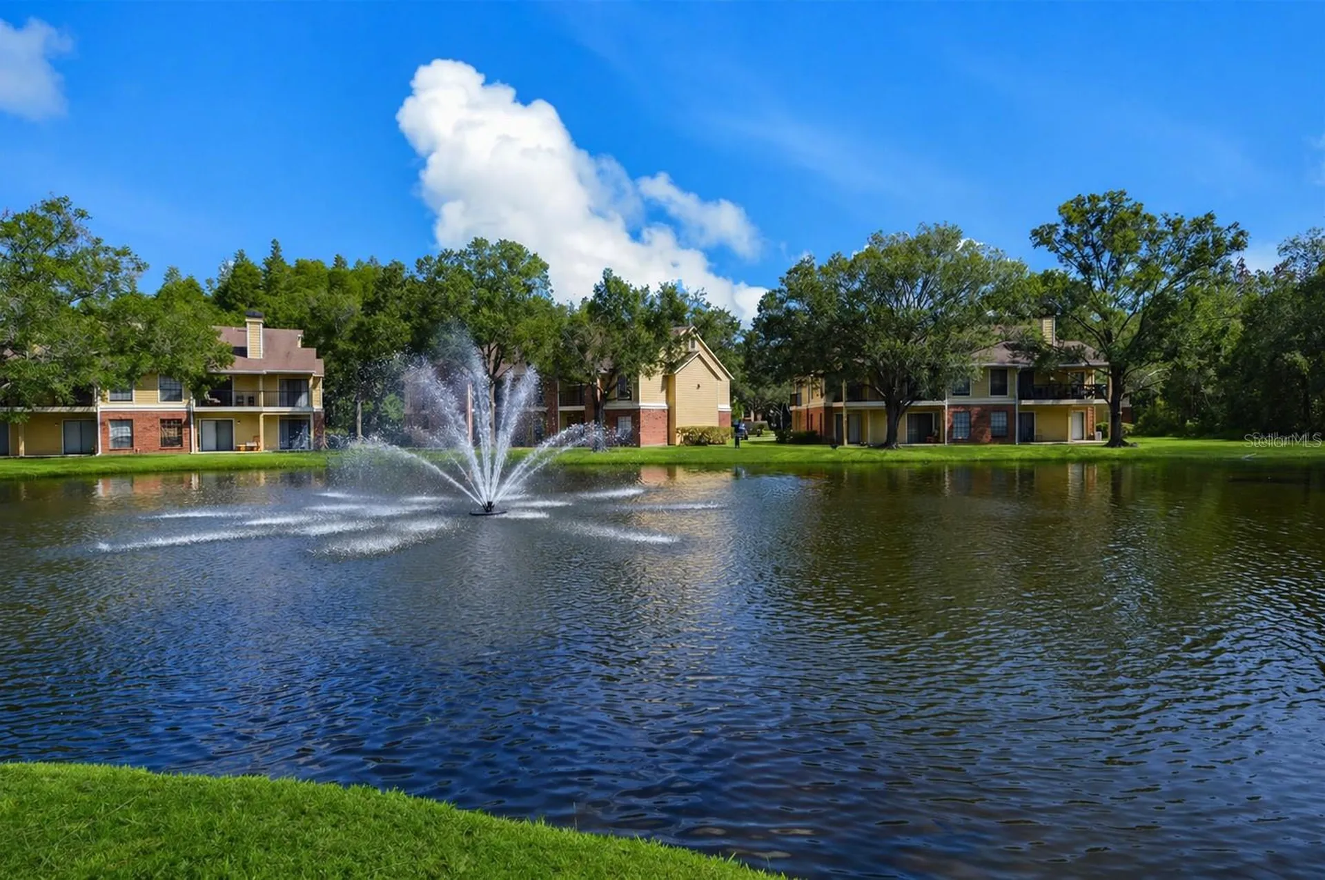 8641 Fancy Finch Drive Tampa FL 33614