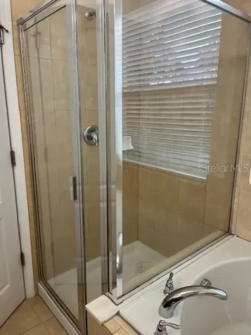 14422 Desert Haven Street Windermere FL 34786