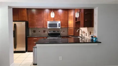 3817 W San Rafael Street Tampa FL 33629