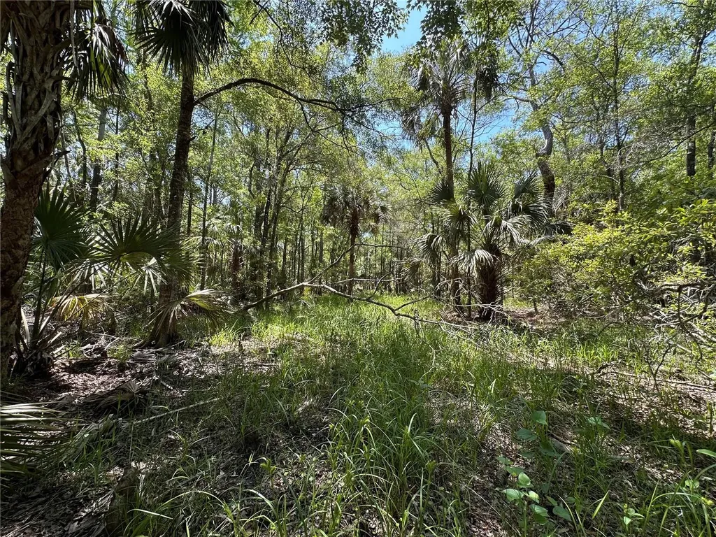 Tract 99 SW Cr-347 Chiefland FL 32644