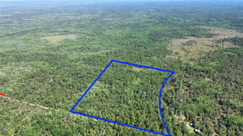 Tract 99 SW Cr-347 Chiefland FL 32644