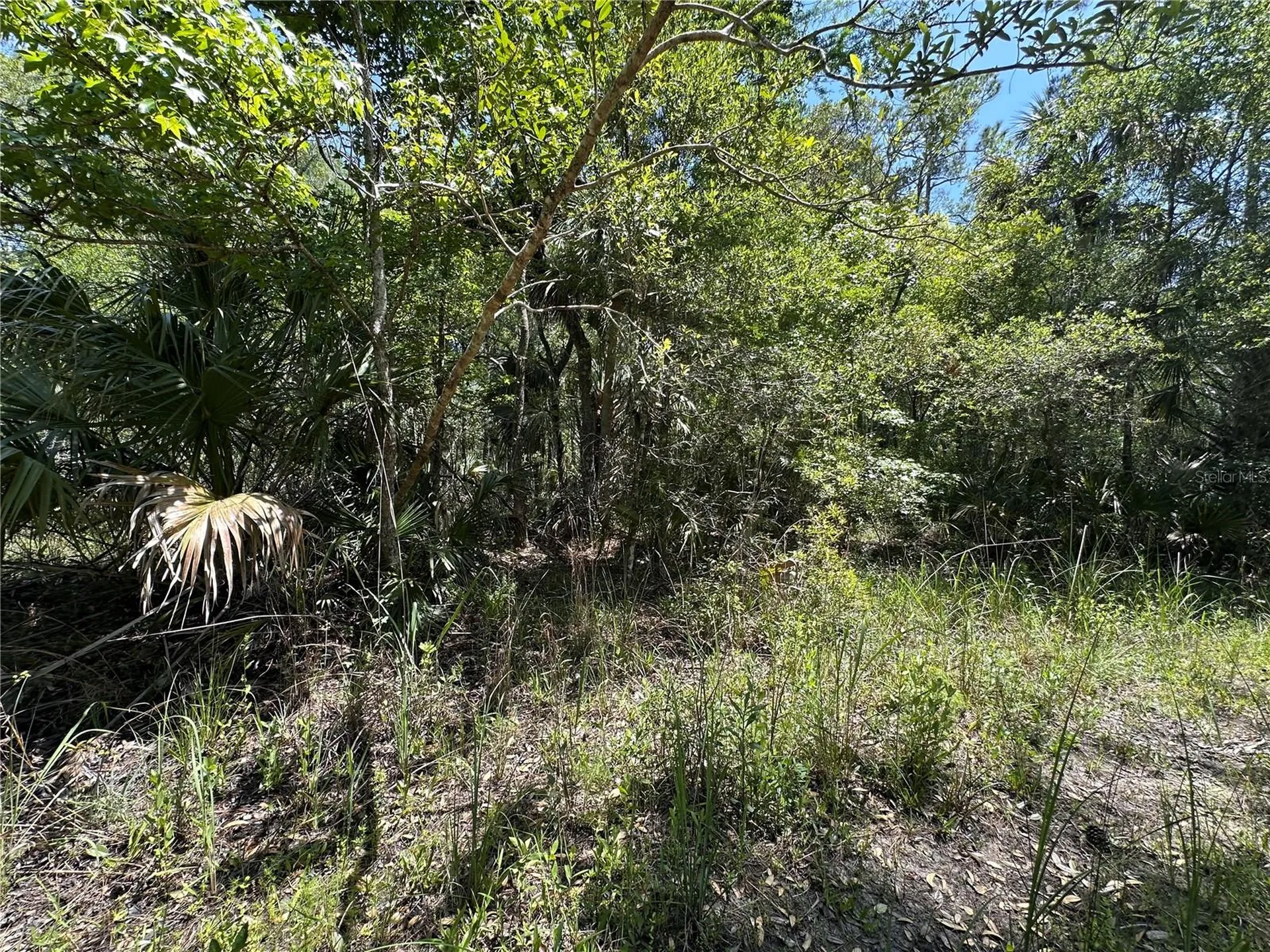 Tract 99 SW Cr-347 Chiefland FL 32644