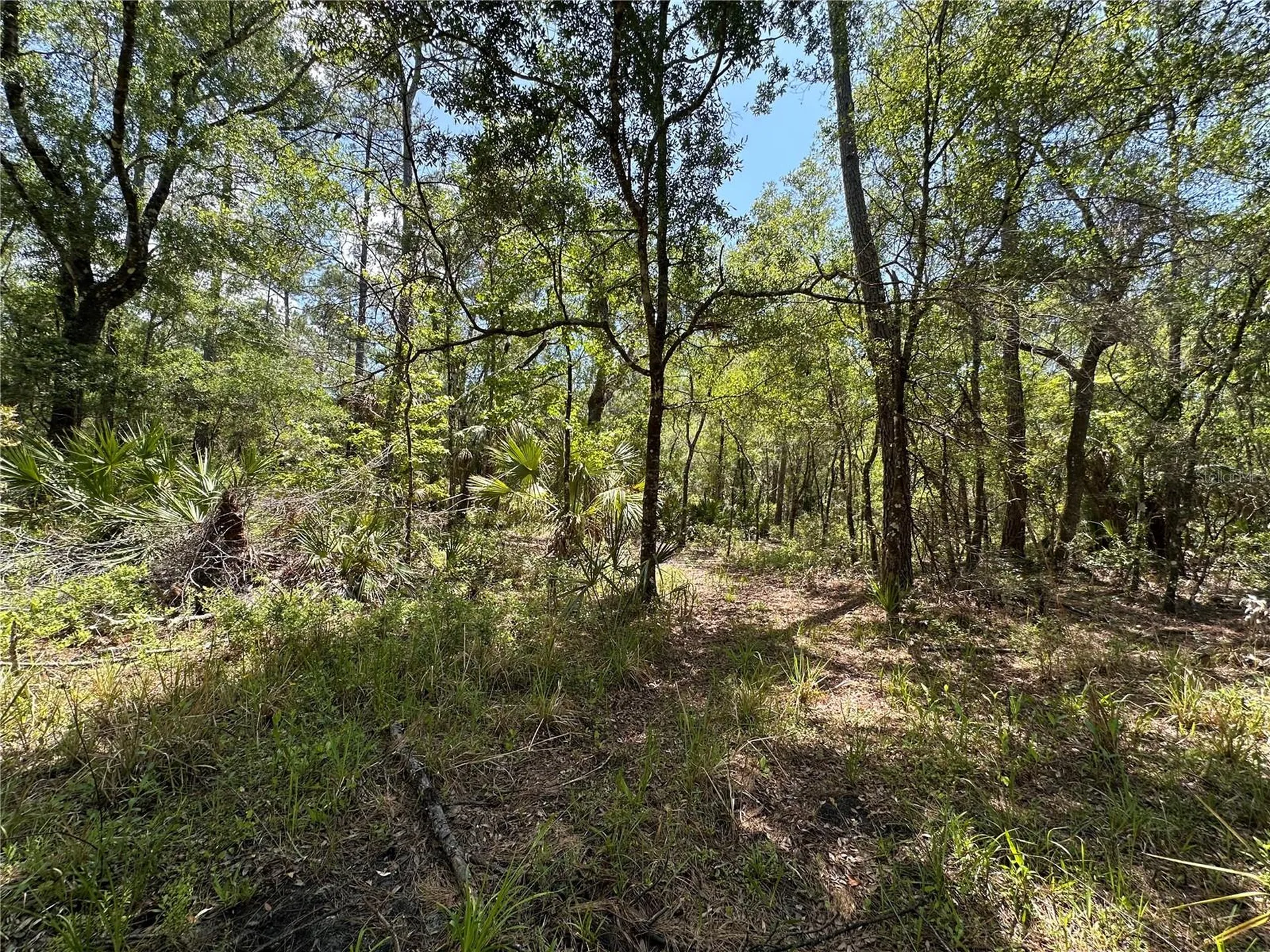 Tract 99 SW Cr-347 Chiefland FL 32644
