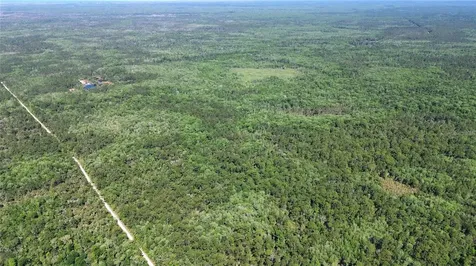 Tract 99 SW Cr-347 Chiefland FL 32644