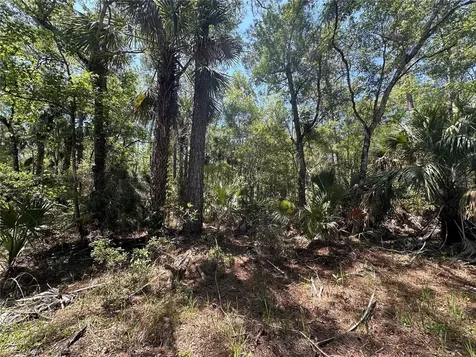 Tract 99 SW Cr-347 Chiefland FL 32644