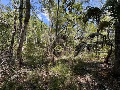 Tract 99 SW Cr-347 Chiefland FL 32644
