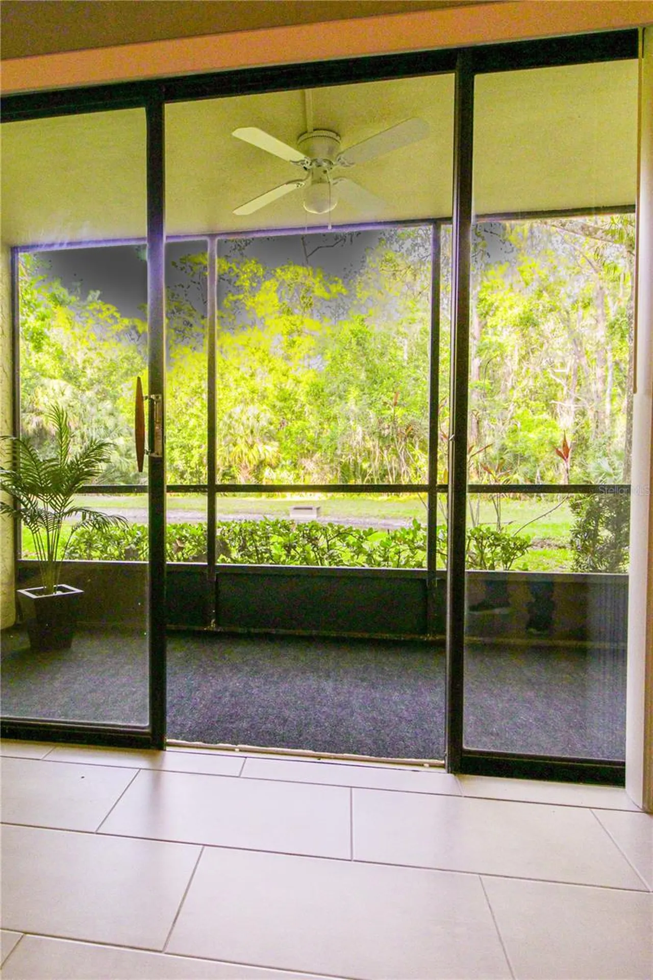 3232 Lake Pine Way E Tarpon Springs FL 34688