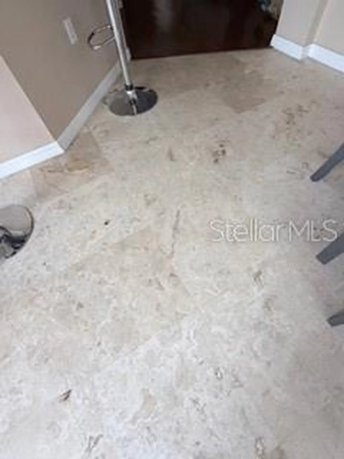 114 Vervain Avenue Davenport FL 33837