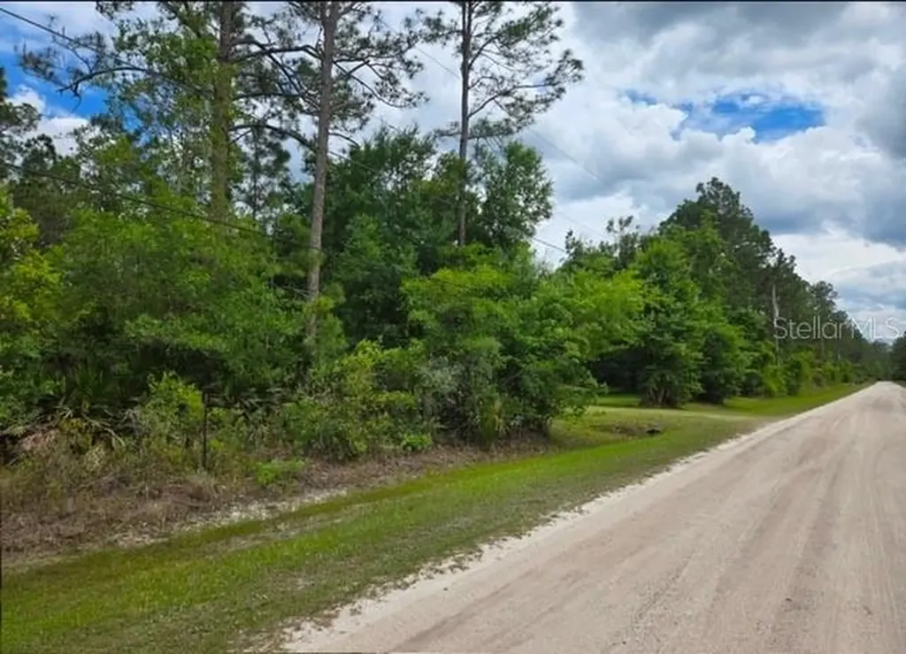 1747 Candleberry Street Bunnell FL 32110
