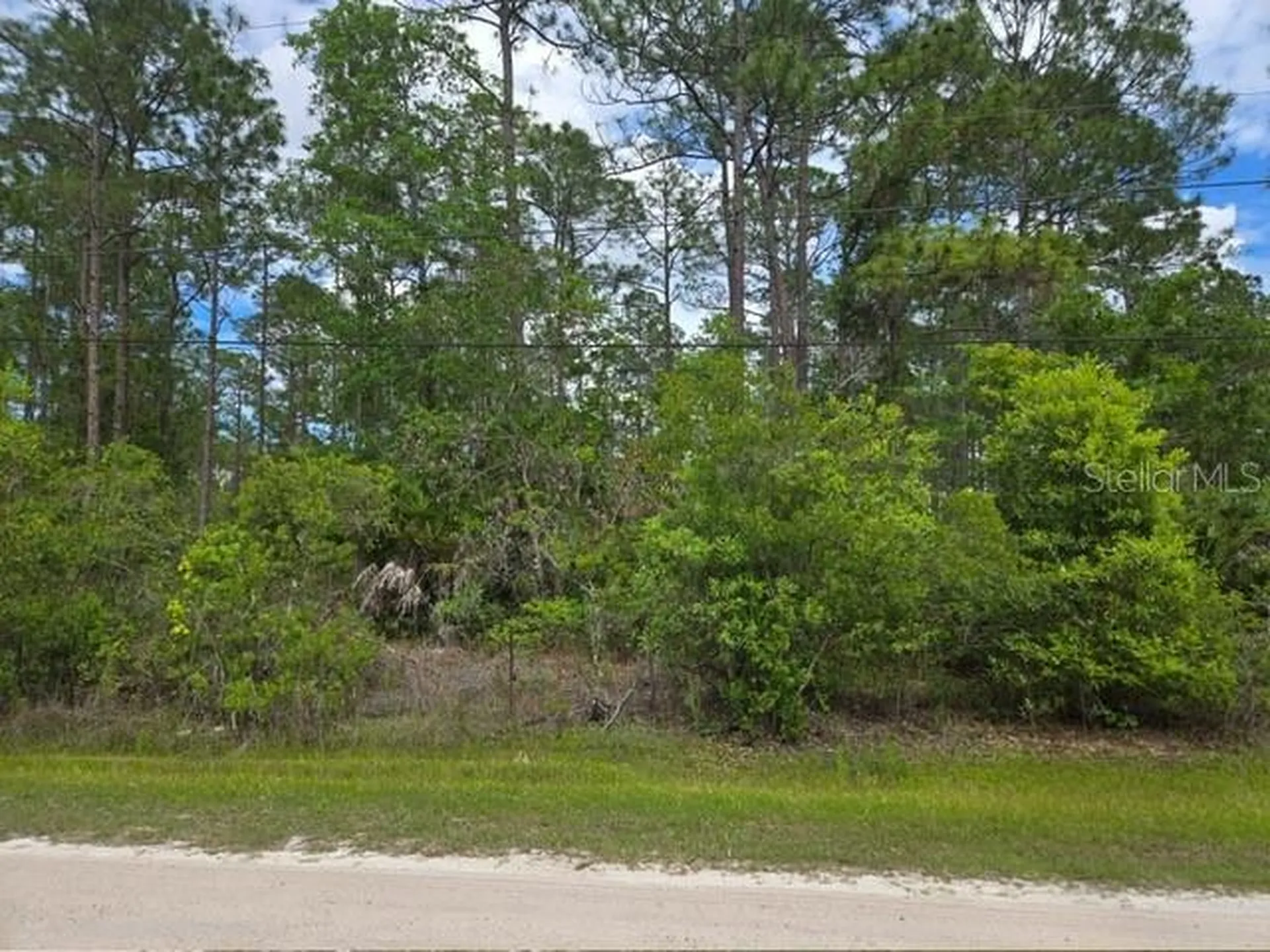1747 Candleberry Street Bunnell FL 32110