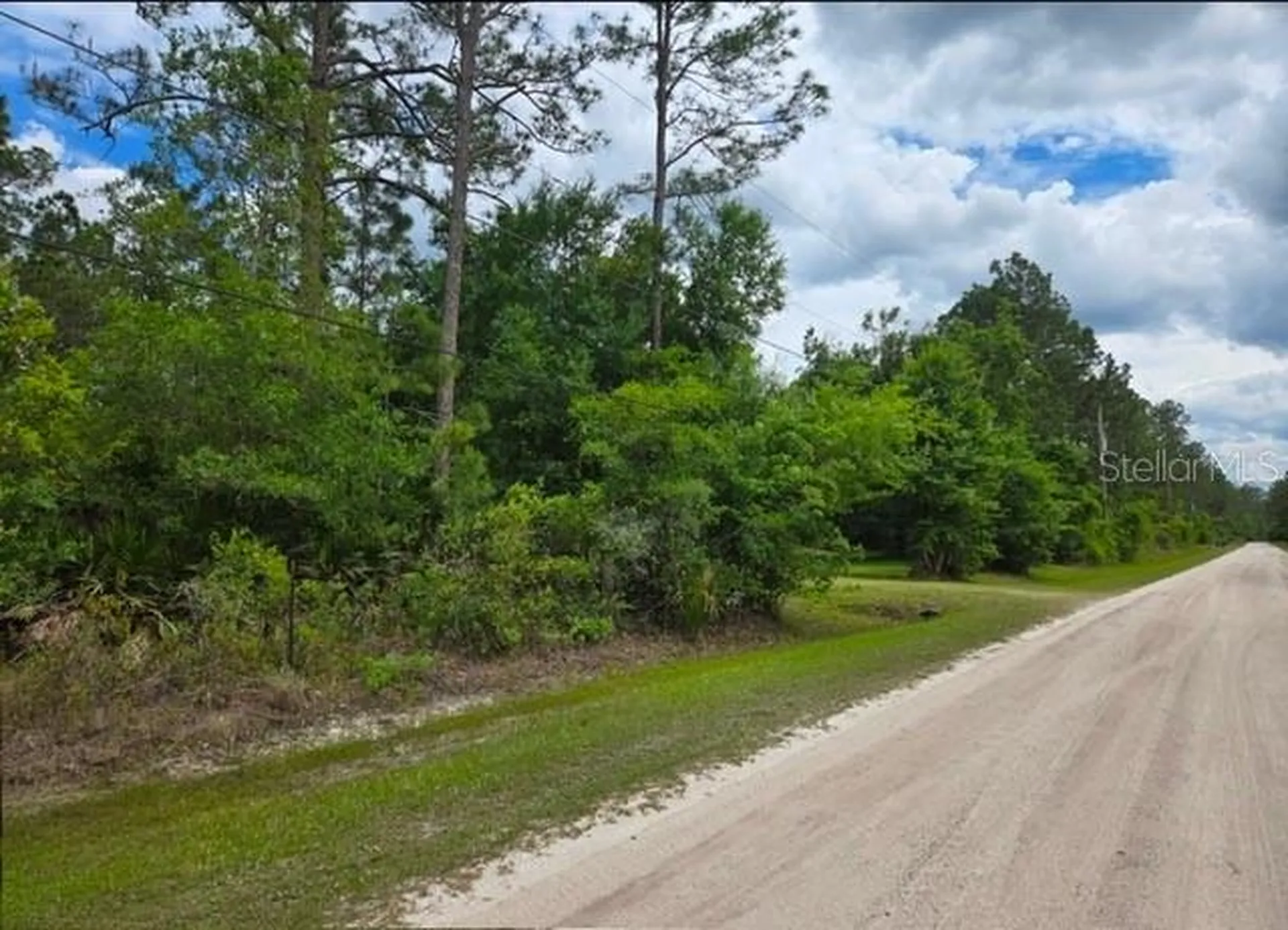 1747 Candleberry Street Bunnell FL 32110