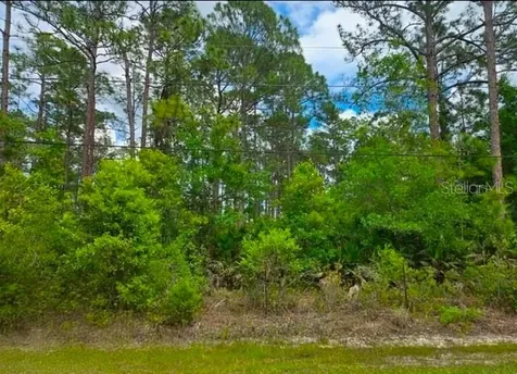 1747 Candleberry Street Bunnell FL 32110