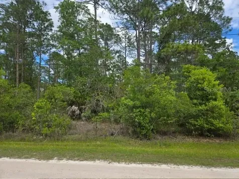 1747 Candleberry Street Bunnell FL 32110