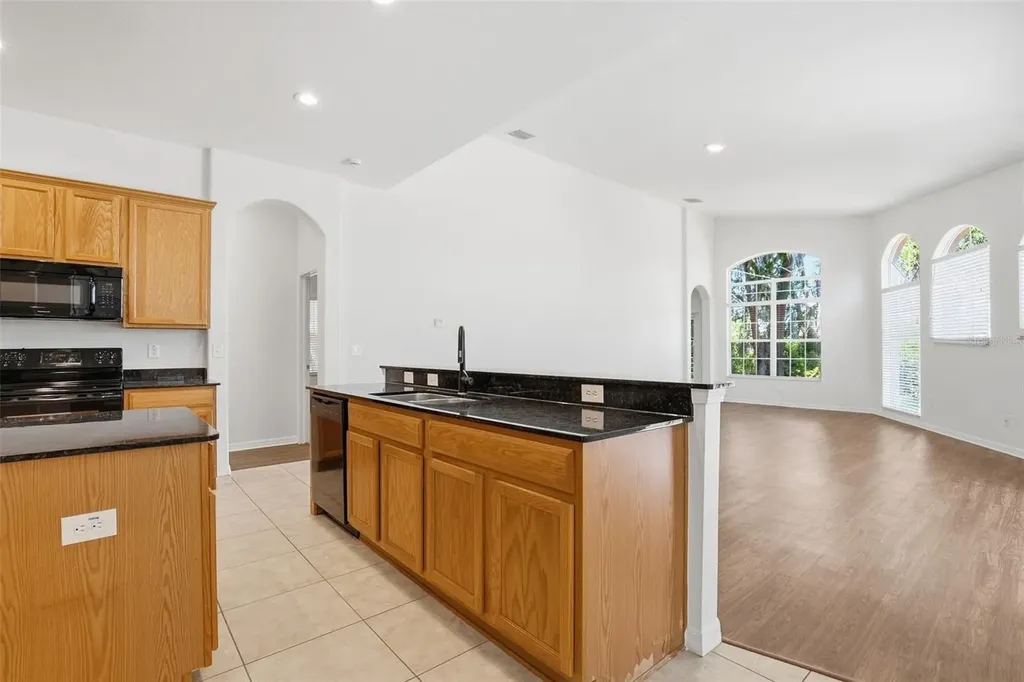 4745 Patagonia Place Land O Lakes FL 34638