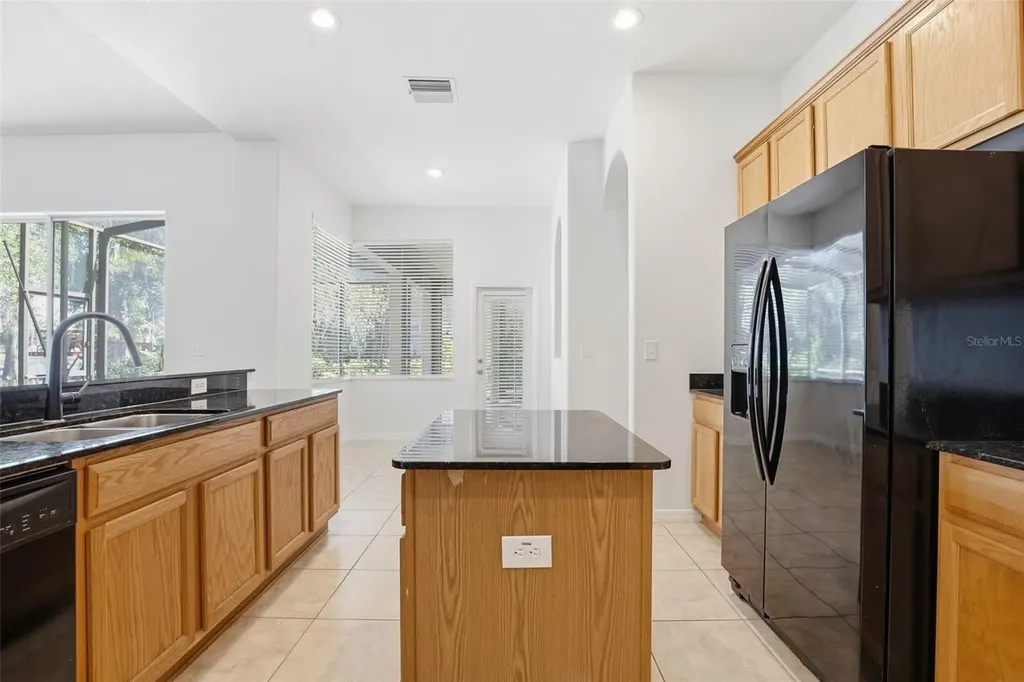 4745 Patagonia Place Land O Lakes FL 34638