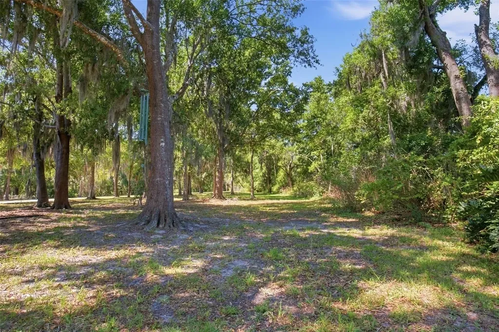 4745 Patagonia Place Land O Lakes FL 34638