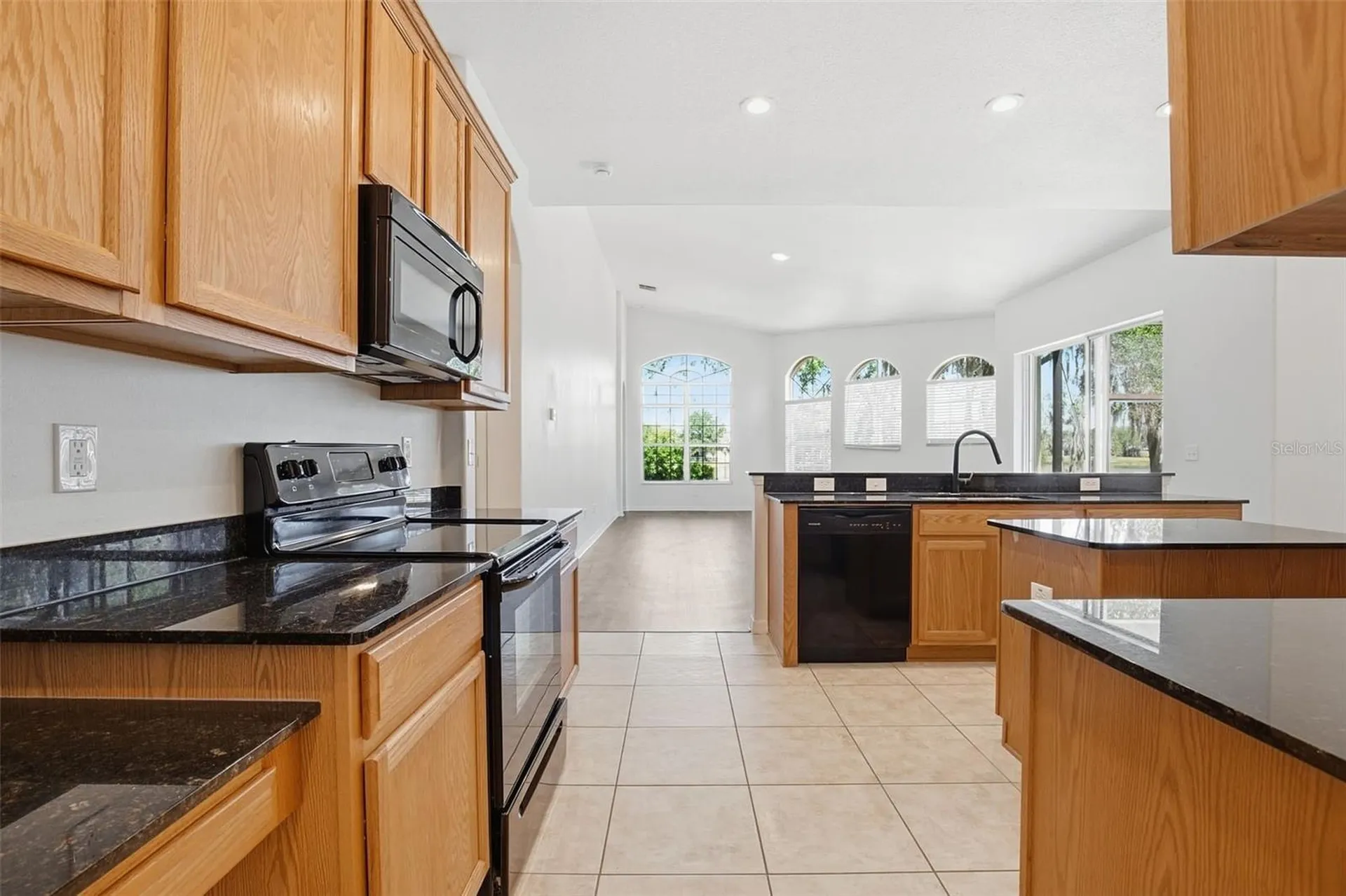 4745 Patagonia Place Land O Lakes FL 34638