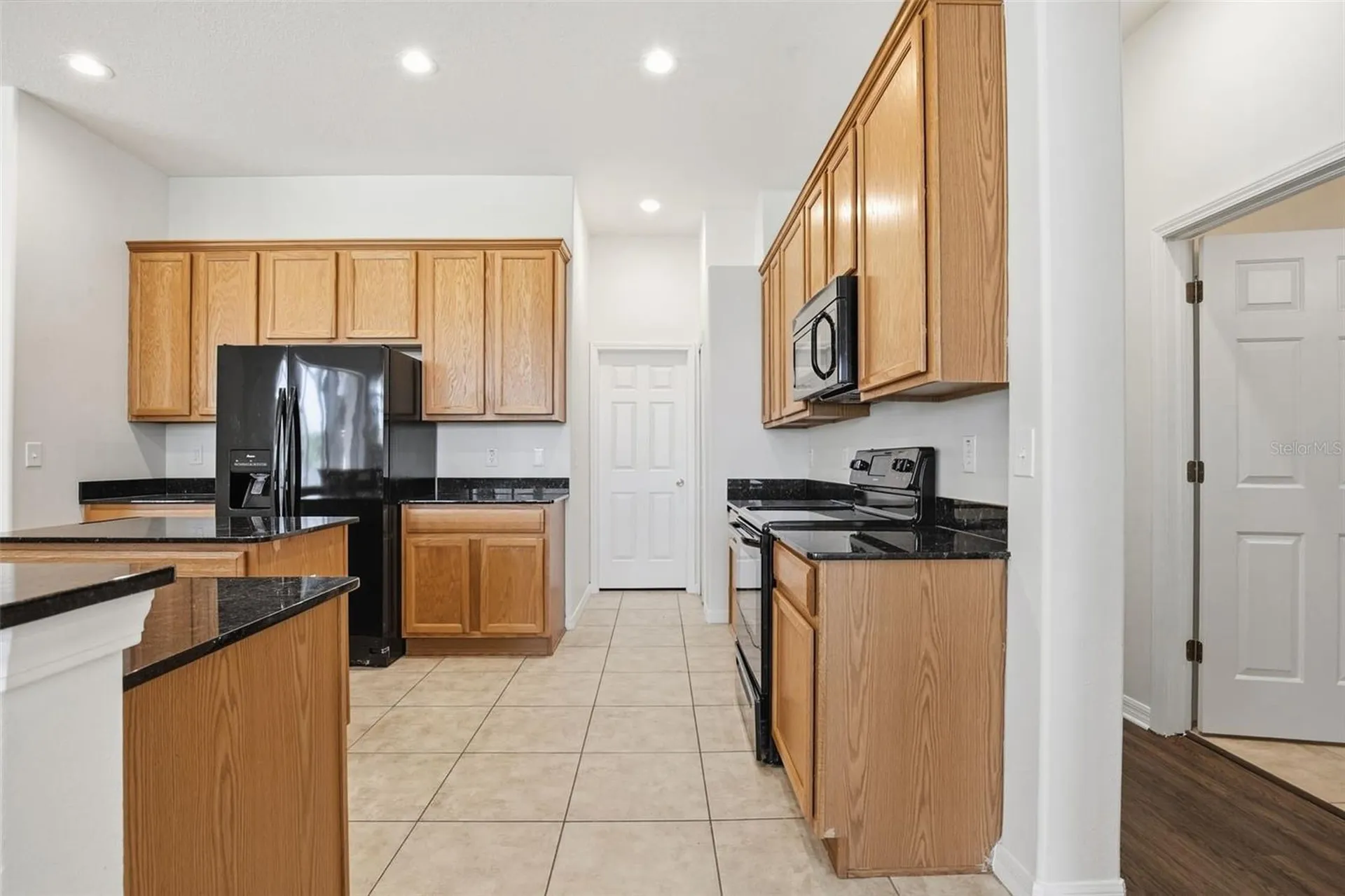 4745 Patagonia Place Land O Lakes FL 34638