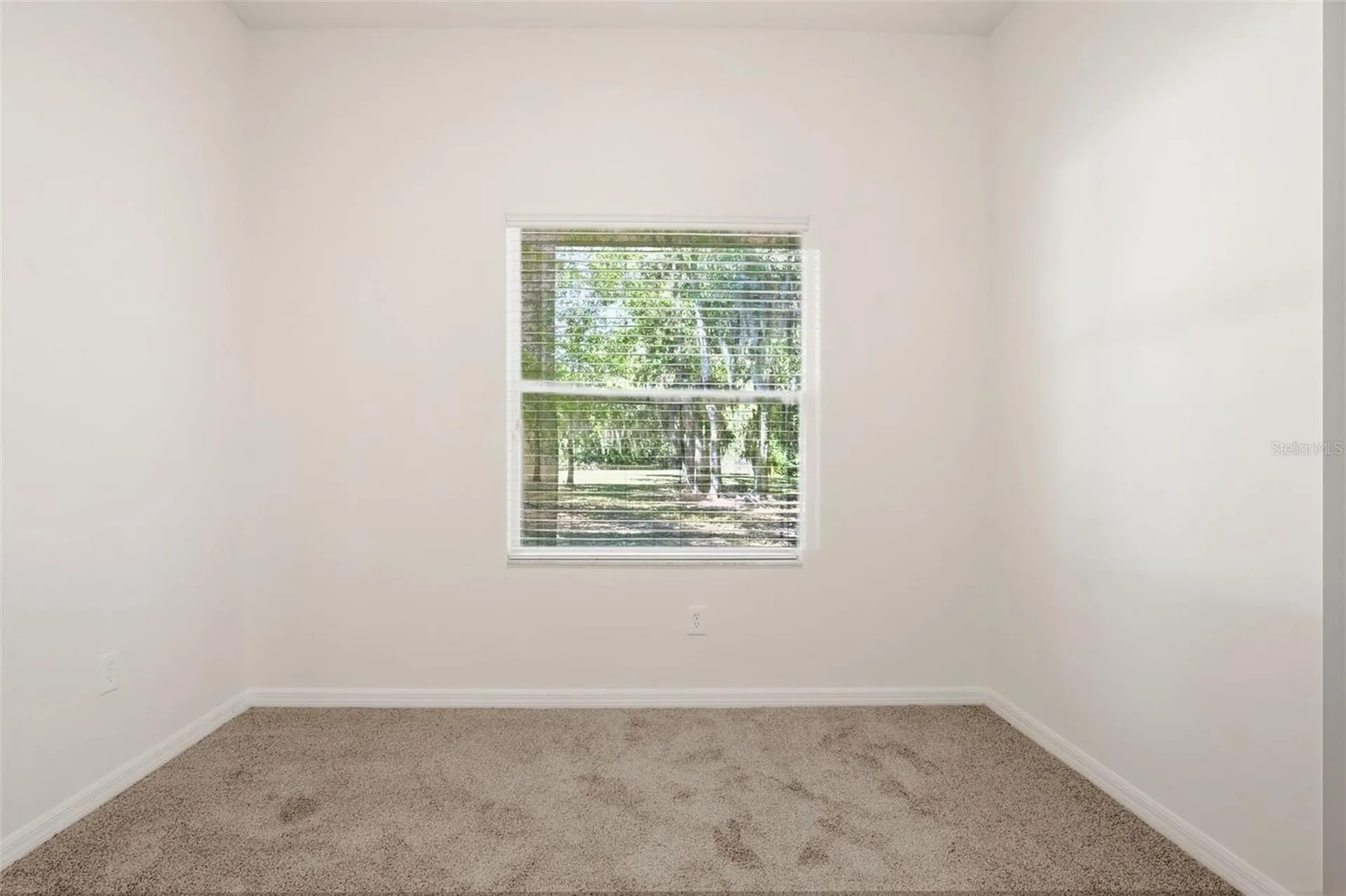 4745 Patagonia Place Land O Lakes FL 34638