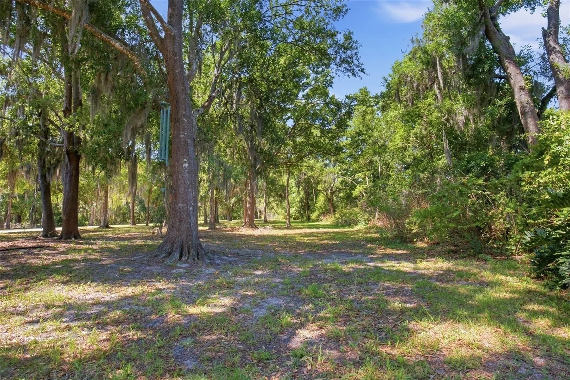 4745 Patagonia Place Land O Lakes FL 34638