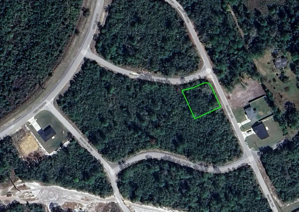 43 Sequoia Trail Ocklawaha FL 32179